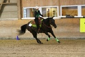15_Open Reining